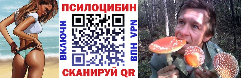 Псилоцибиновые грибы Psilocybine cubensis  Шарья 